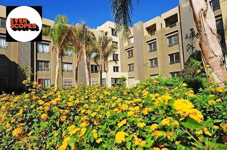 14 WhatsApp Image 2025-11-09 at 06.46. 57_c7065160. jpg