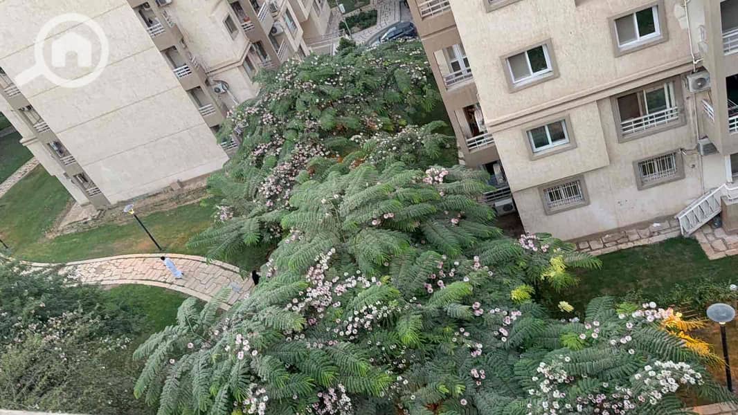 2 9a1e2cb5-ac5f-454d-b98d-ae828e18209e. jpg