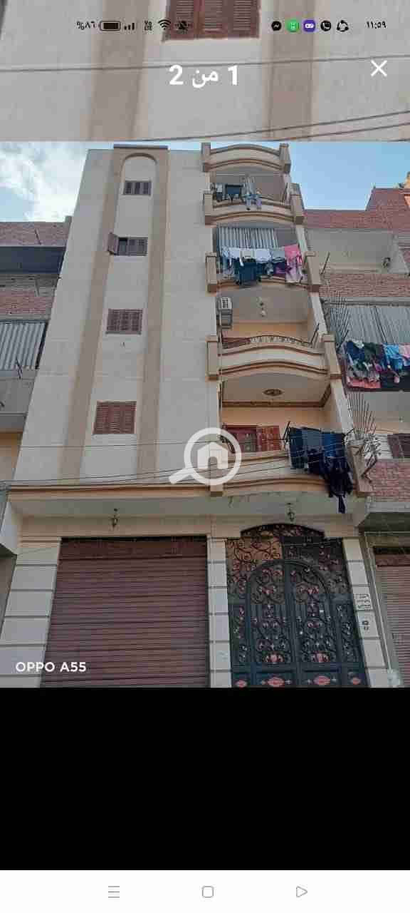 1000105117. jpg 1000105117. jpg