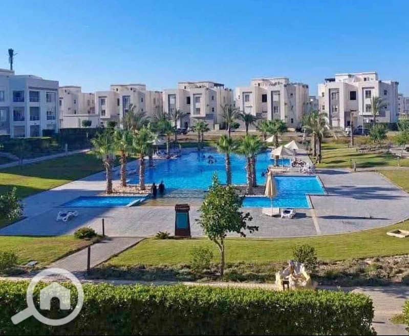 2 6c8800fd-4dd9-4860-a4d8-e43fc6a65182. jpg