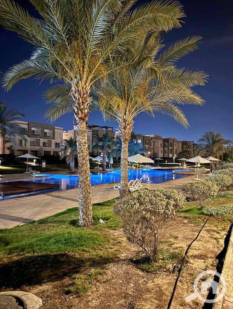 3 2dc8a71e-7974-46cc-aea9-171065d5e898. jpg