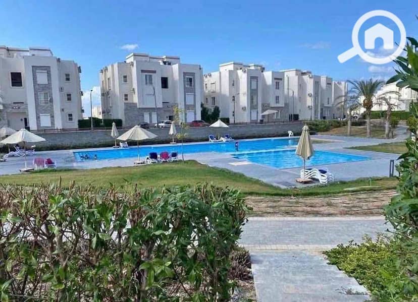 5 46413cd6-404d-4b5c-8ced-a978450355ba. jpg