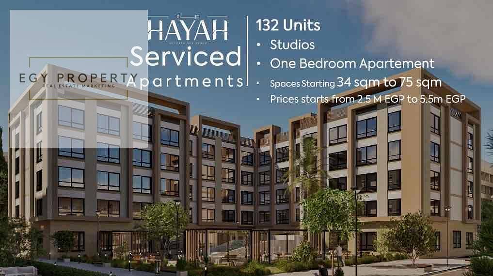 17 875638ef-198a-4596-8102-a6fbce7ad7ae. jpg