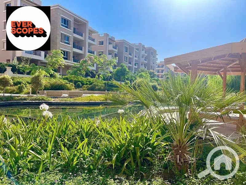 13 34545944-800x600. jpg