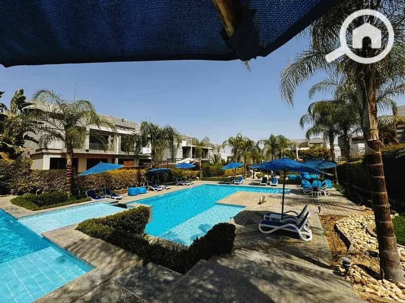 5 3e325653-9702-4337-a1fd-a5319beec5c1. jpg