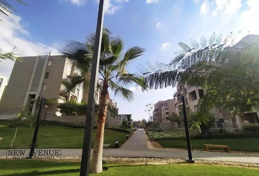 3 00877aa4-5d92-407c-a472-f9384d5a3793. jpg