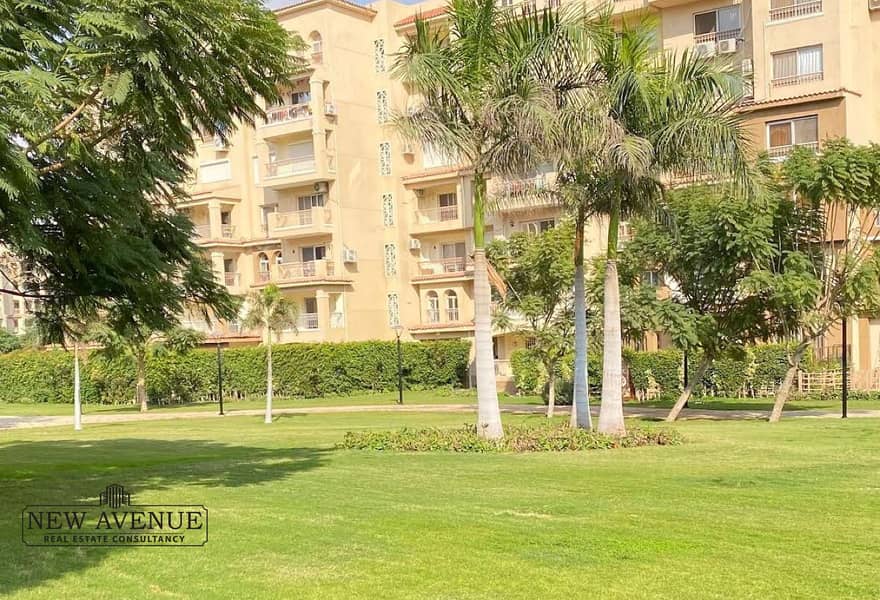 6 de8f7929-e851-4493-ac57-0d9046dc5954. jpg