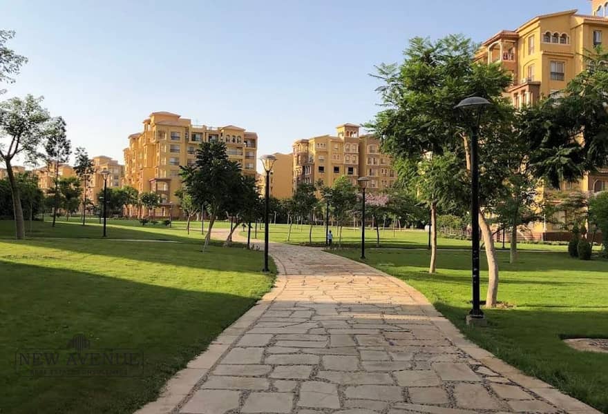 10 d9d869e4-f47c-4a2e-a4d3-965f3cd1381a. jpg