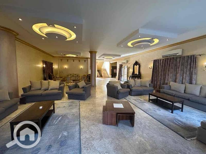 13 07df1183-1b49-4840-8a06-84078cff7fe1. jpg