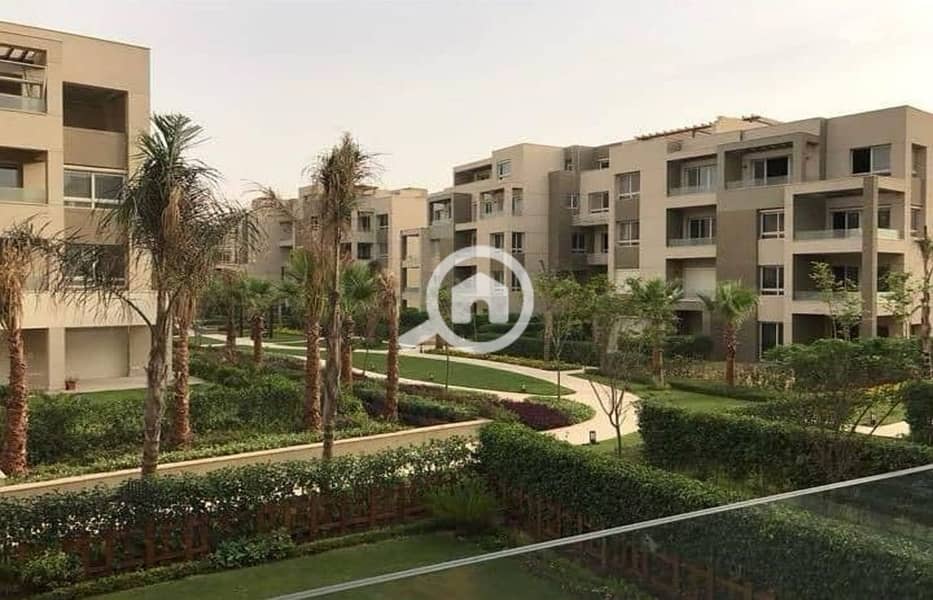 6 34698436-800x600. jpeg