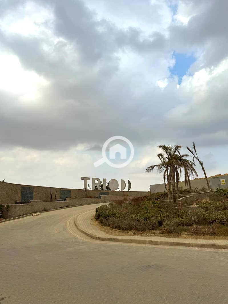 10 0bb7bc7a-d12b-4630-b65f-cfa29afc1789. jpg