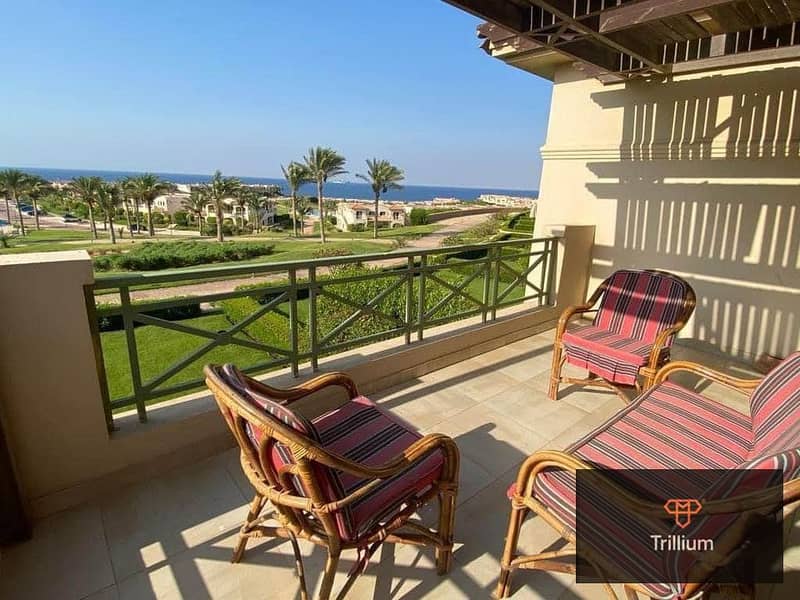 14 453532877_3642370876025728_3516261402307600370_n. jpg