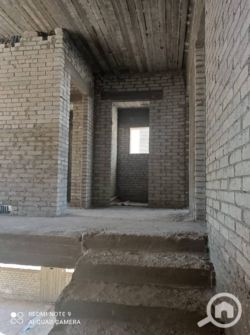 3 236678731_1034285150697067_9185728384729847294_n. jpg