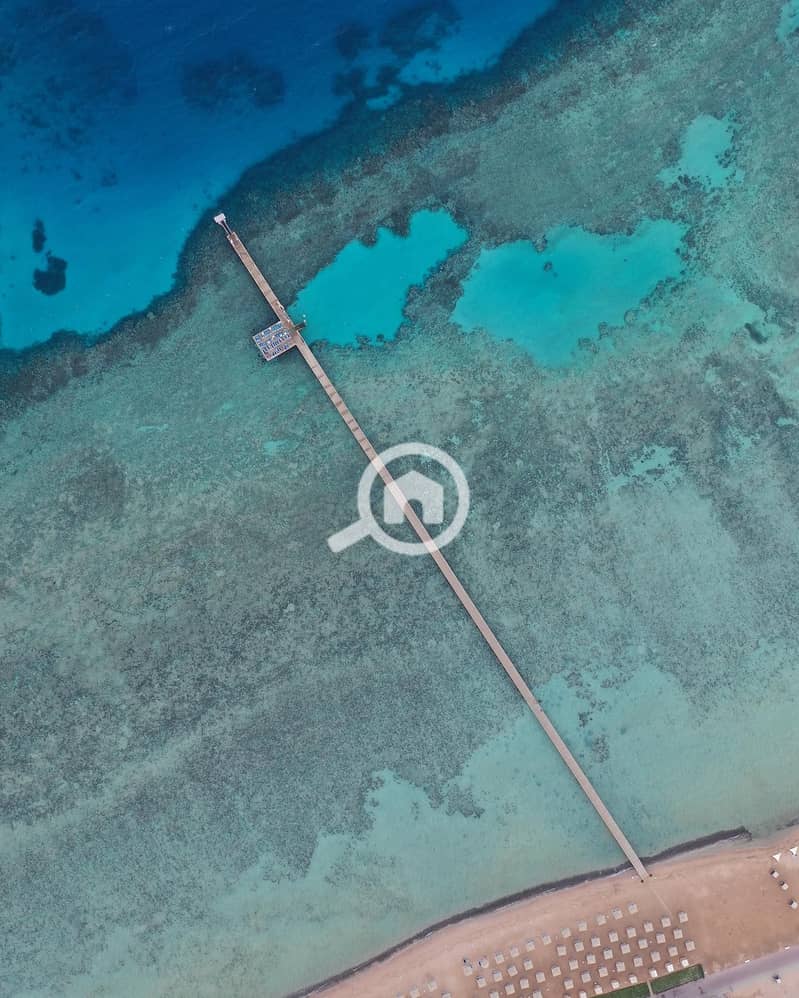 5 sahlhasheesheg_1724173322794. jpeg