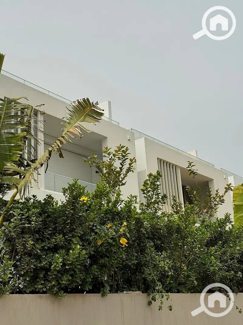 6 32188533-800x600. jpg