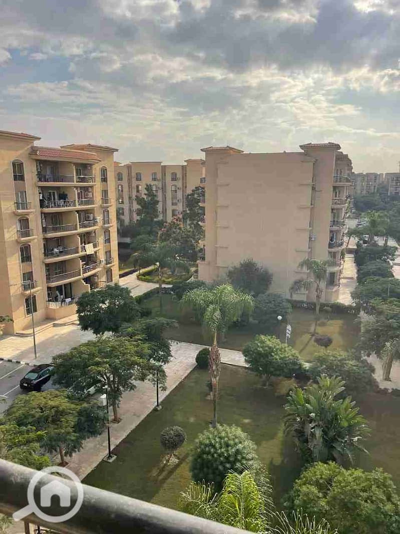 1000431216. jpg 1000431216. jpg