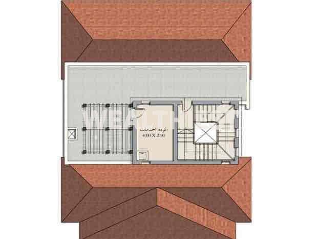 11 b20afb2b-b785-4639-a9af-e7507267b257. jpg