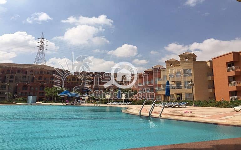 4 WhatsApp Image 2025-03-13 at 12.11. 36 PM. jpeg