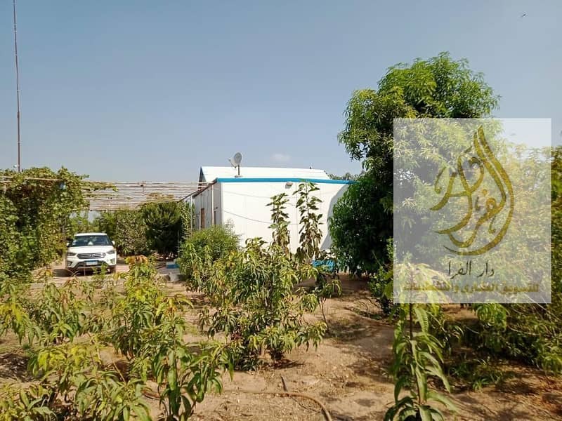 WhatsApp Image 2025-12-18 at 10.37. 08 AM (2). jpeg WhatsApp Image 2025-12-18 at 10.37. 08 AM (2). jpeg