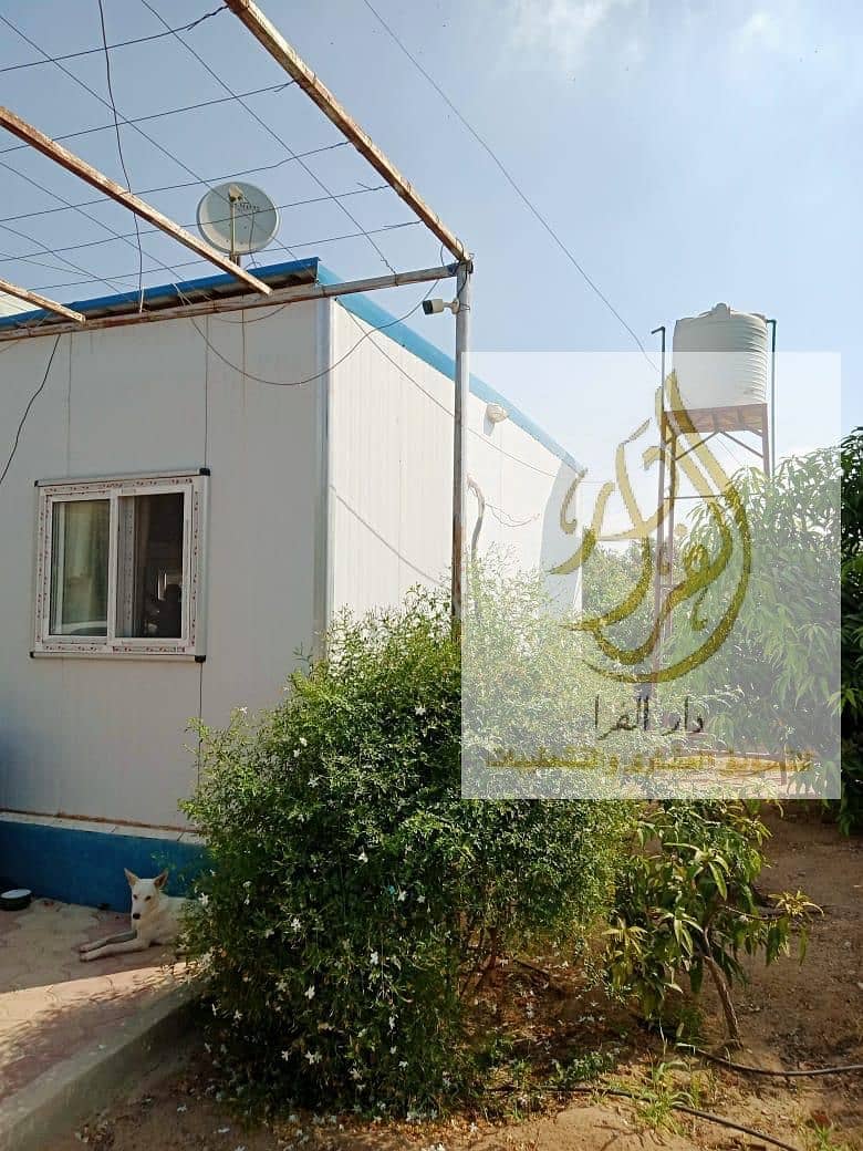 2 WhatsApp Image 2025-12-18 at 10.37. 05 AM. jpeg