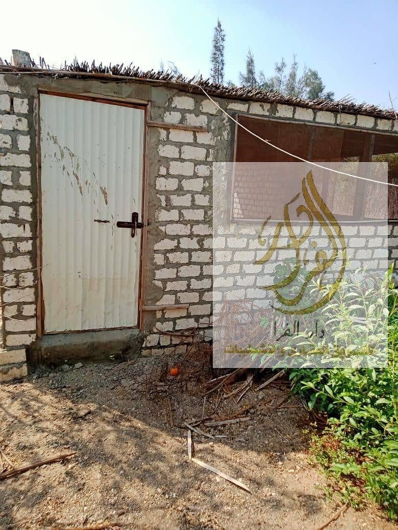 3 WhatsApp Image 2025-12-18 at 10.37. 06 AM (1). jpeg