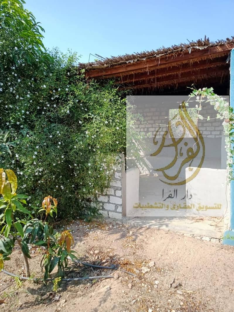 4 WhatsApp Image 2025-12-18 at 10.37. 06 AM (2). jpeg