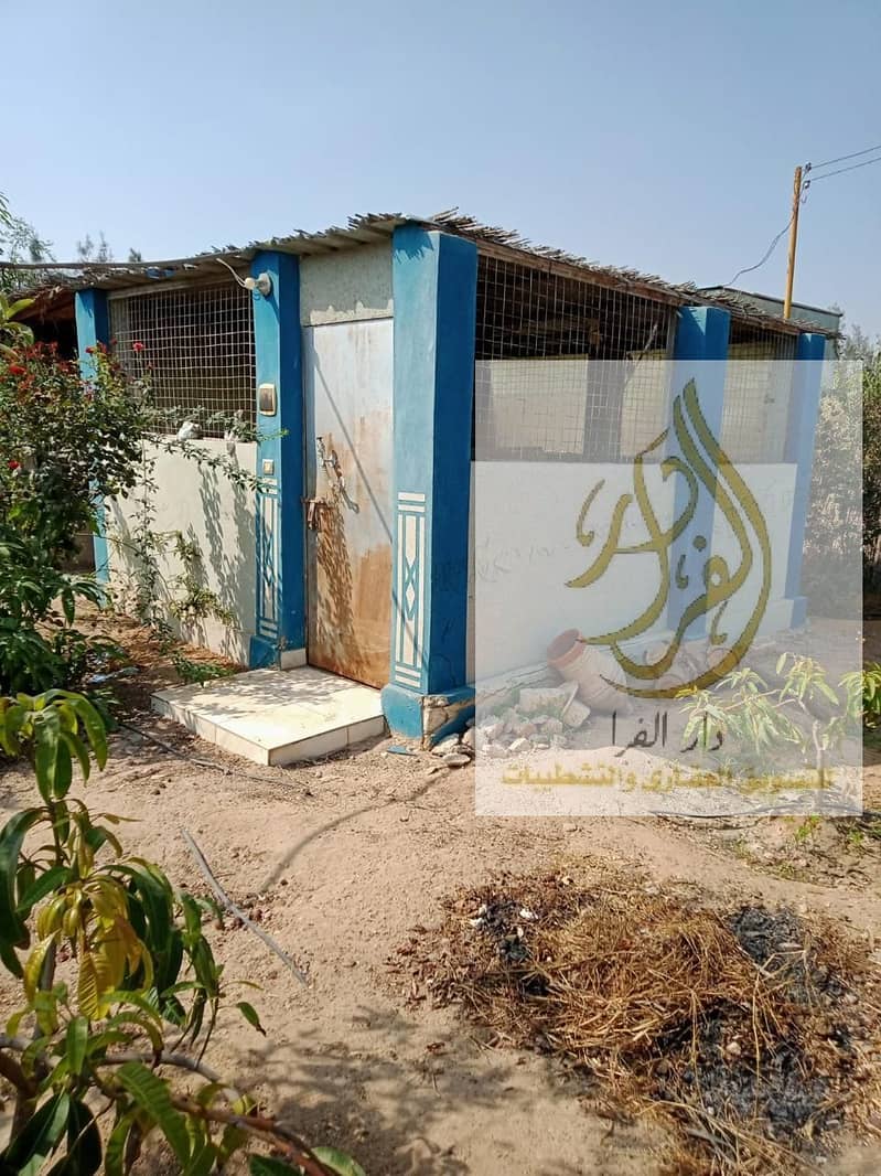 5 WhatsApp Image 2025-12-18 at 10.37. 06 AM. jpeg