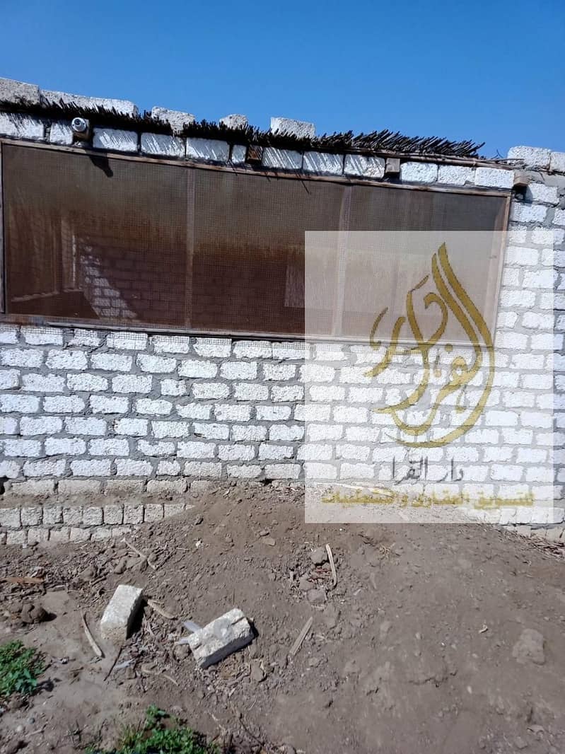 6 WhatsApp Image 2025-12-18 at 10.37. 07 AM (1). jpeg