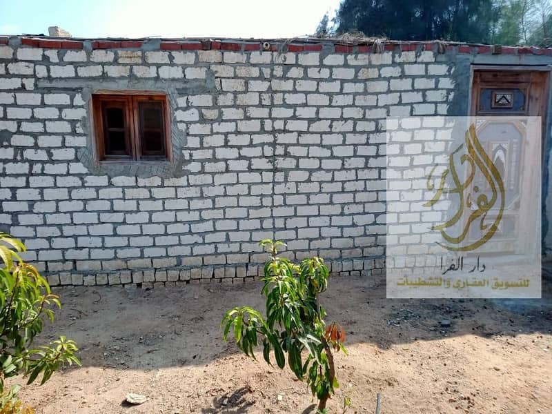 7 WhatsApp Image 2025-12-18 at 10.37. 07 AM (2). jpeg