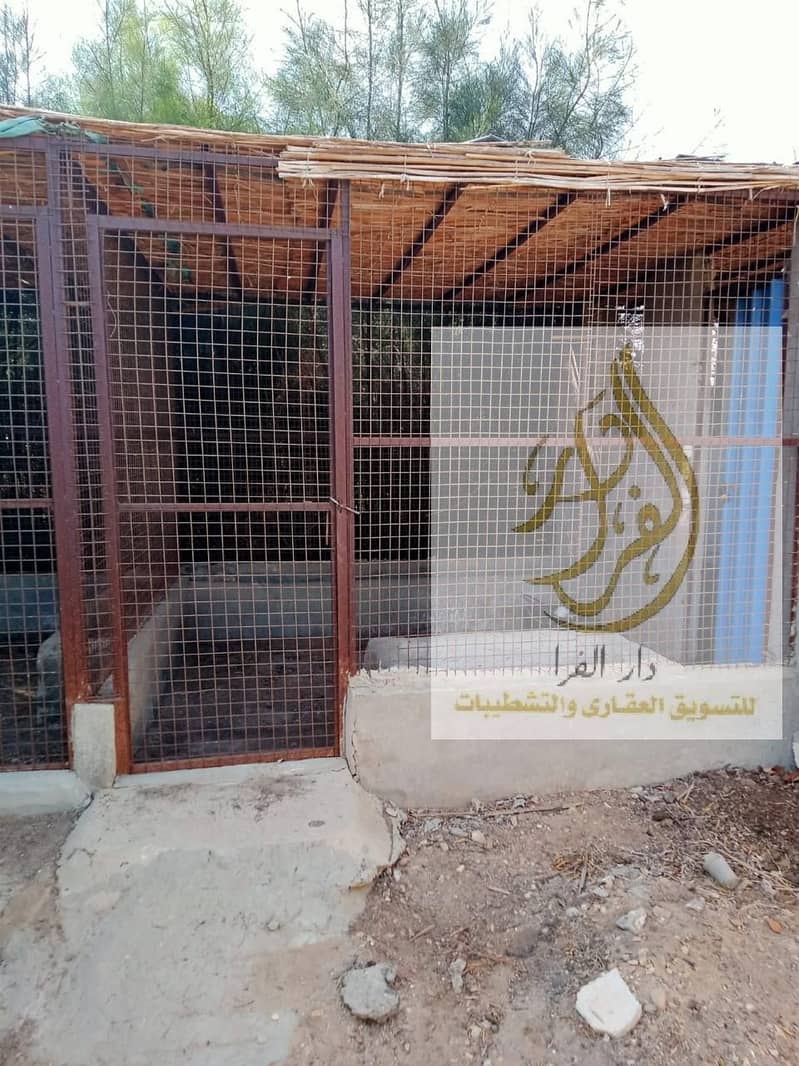 8 WhatsApp Image 2025-12-18 at 10.37. 07 AM. jpeg