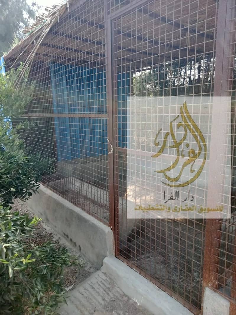 10 WhatsApp Image 2025-12-18 at 10.37. 08 AM. jpeg