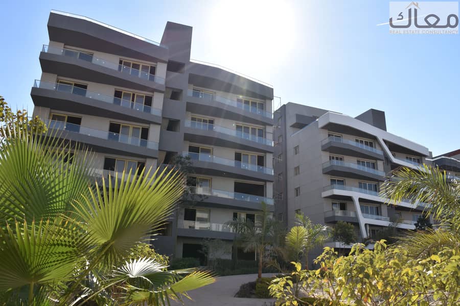 3 DSC_3868 - Copy. JPG