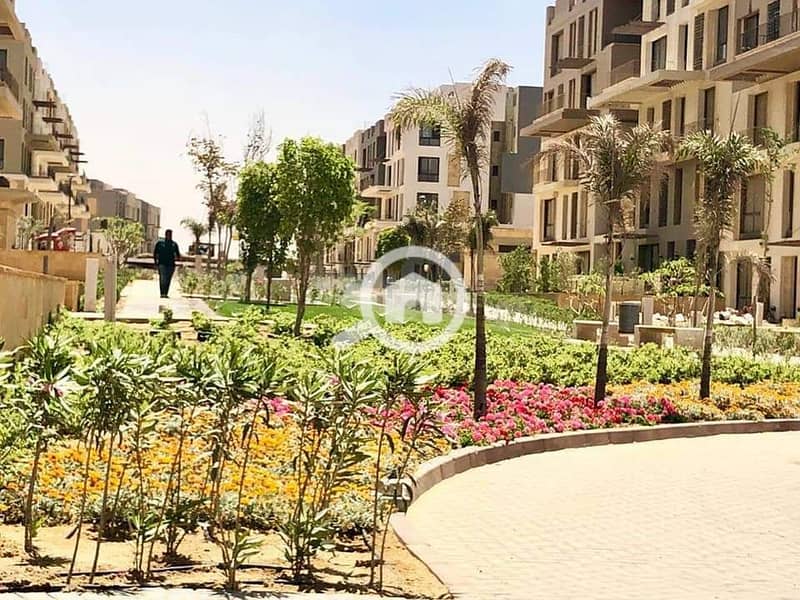 3 a1e5dbc5-adc4-4737-a969-1e22ee5f8d01. jpg