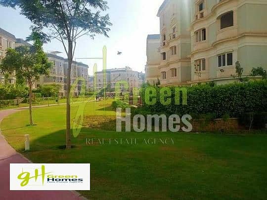 11 235fd5e9-65ac-11ee-9de6-9ed5e1329ddc. jpeg