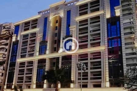 3 Bedroom Flat for Sale in Smoha, Alexandria - IMG-20251213-WA0151. jpg