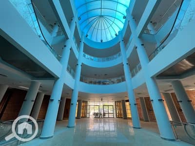 محلات تجارية  للايجار في الشيخ زايد، الجيزة - IMG-20251012-WA0233. jpg