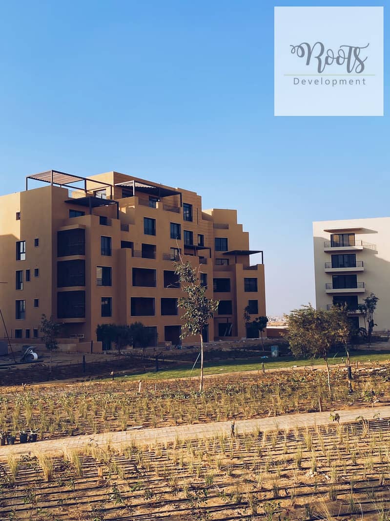 12 WhatsApp Image 2025-08-07 at 4.58. 36 PM (3). jpeg