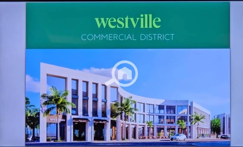 6 1846621c-229a-4714-8c23-1ac9b22fae6c. jpg