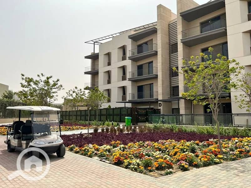 9 530410885_24403081139311369_6318694103539848996_n. jpg