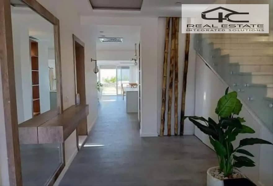 2 5552965-717a0o. png