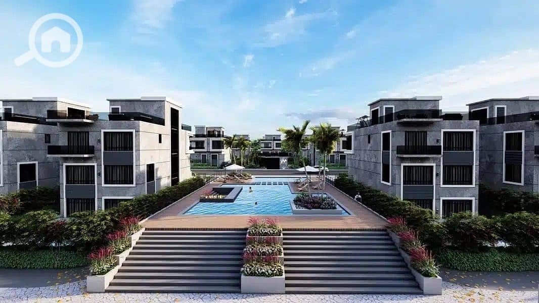 4 Yamour-New-Zayed-4. jpg