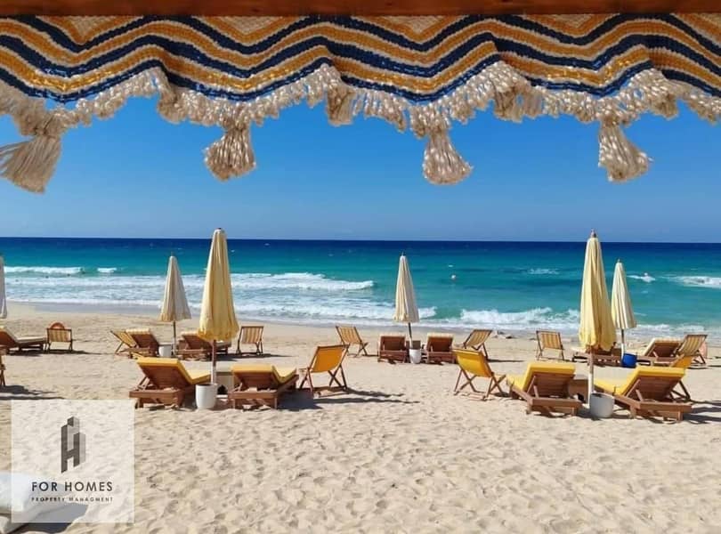 4 WhatsApp Image 2025-12-18 at 12.35. 43. jpeg