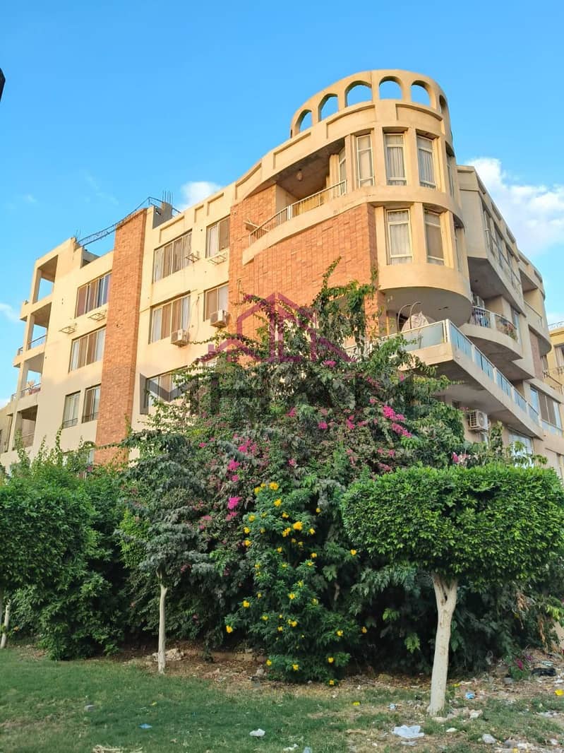 3 5913335510740962522. jpg