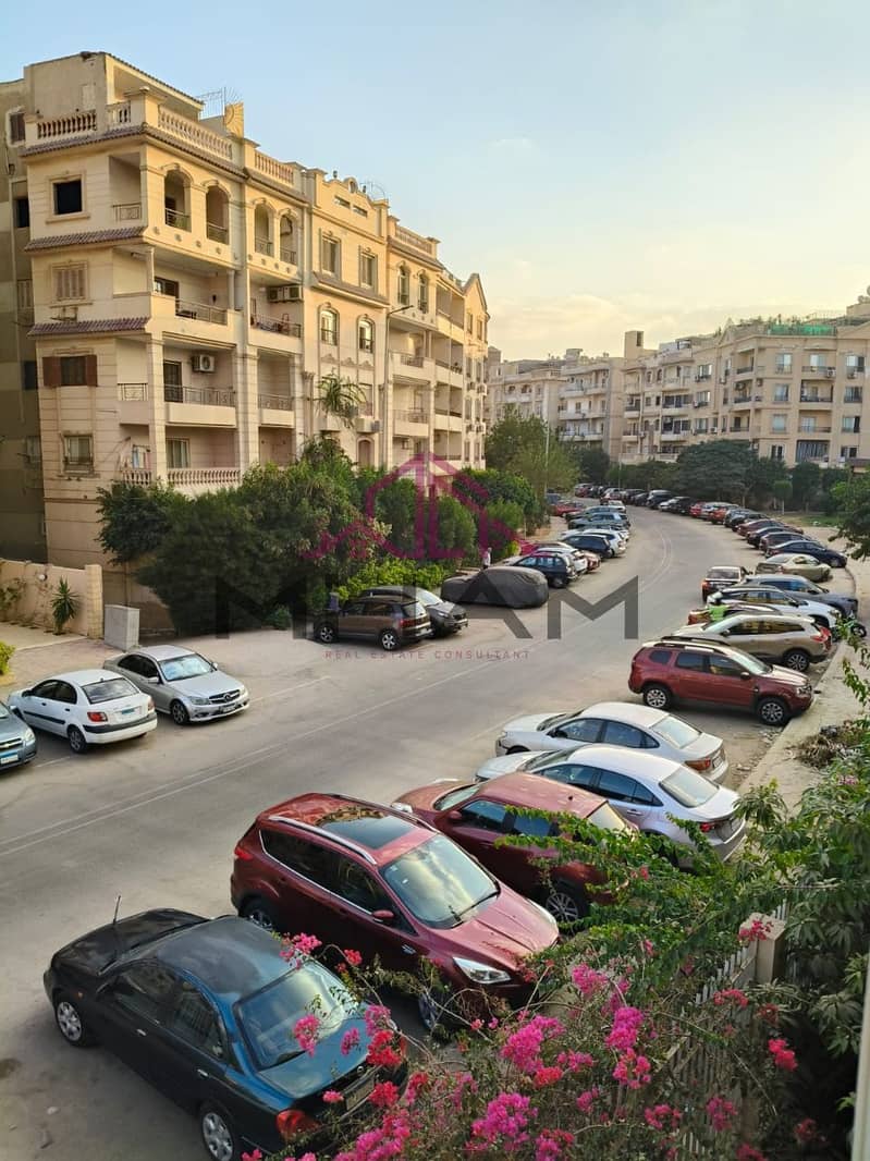 21 5913335510740962518. jpg