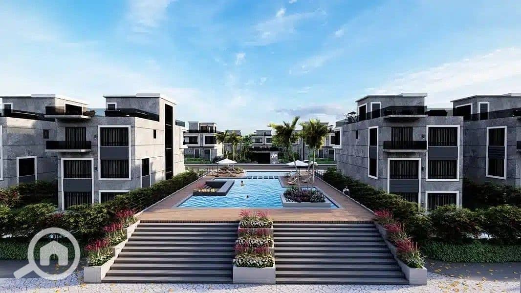 5 Yamour-New-Zayed-4. jpg