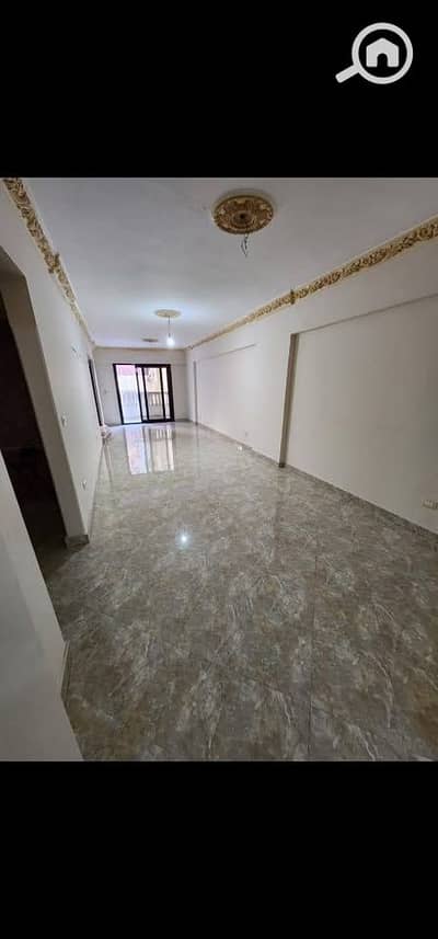 فلیٹ 3 غرف نوم للايجار في زيزينيا، الإسكندرية - 548. jpg
