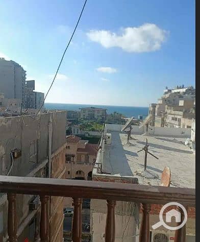 3 Bedroom Flat for Rent in Zezenia, Alexandria - 1. png 3 Bedroom Flat for Rent in Zezenia, Alexandria - 1. png