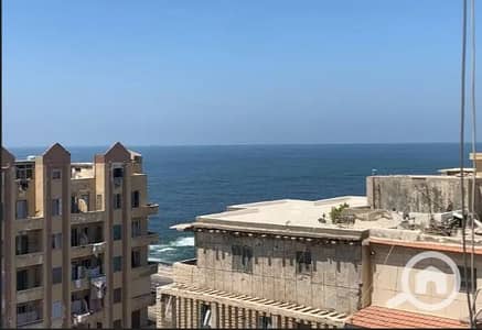 فلیٹ 3 غرف نوم للايجار في سبورتنج، الإسكندرية - 5. png