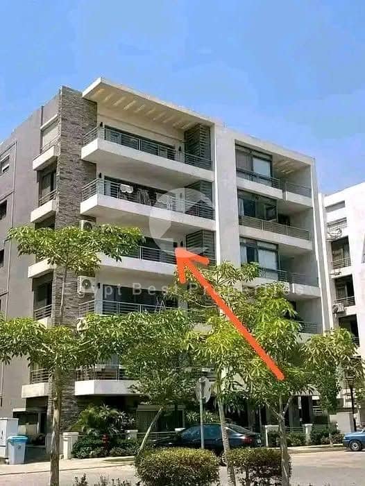 598145848_122138594180986996_2088740941283737386_n. jpg 598145848_122138594180986996_2088740941283737386_n. jpg