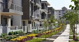 3 images (27)ljhkgjhgchgc. jpg